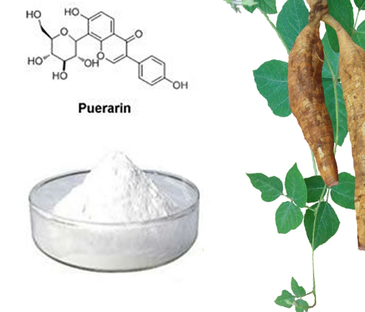 Bulk Puerarin Powder.png